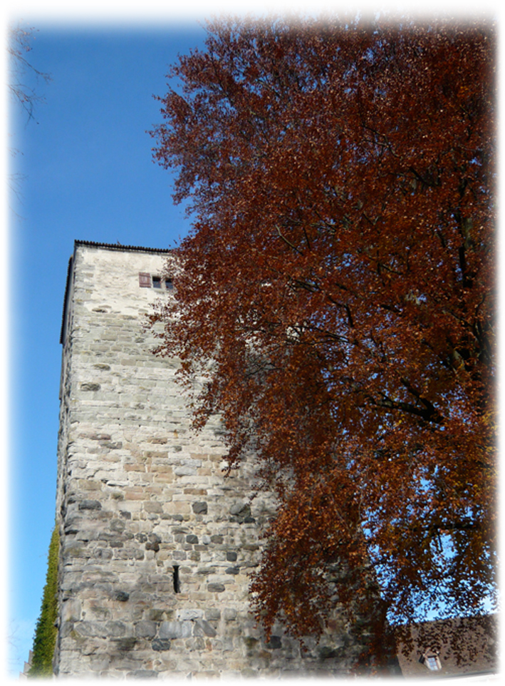bild_1173.jpg